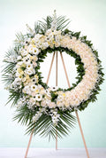 Pure Tribute
