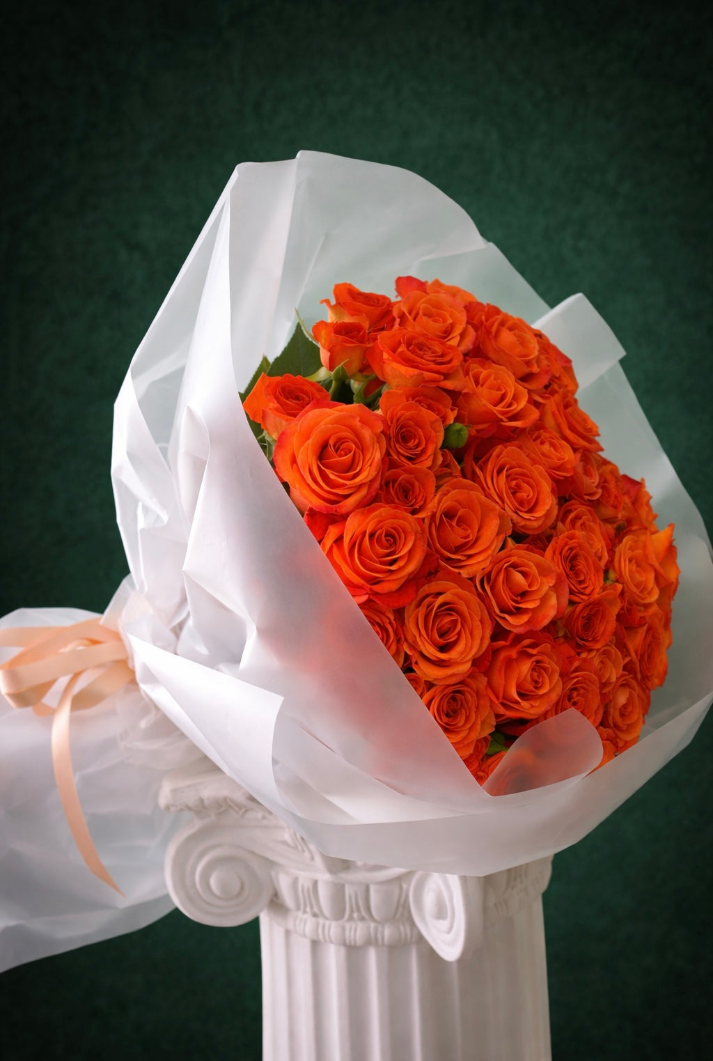 Orange Rose Glow