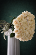 White Rose Elegance