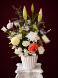 French Garden Elegance