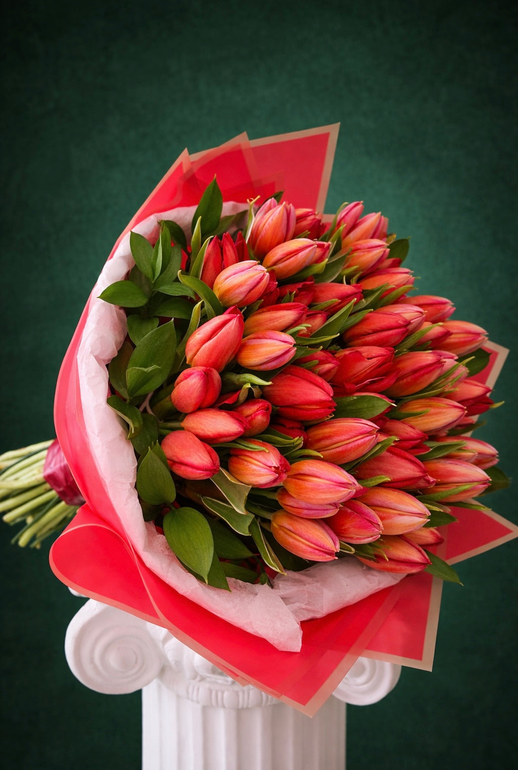 Sunset Tulip Bloom