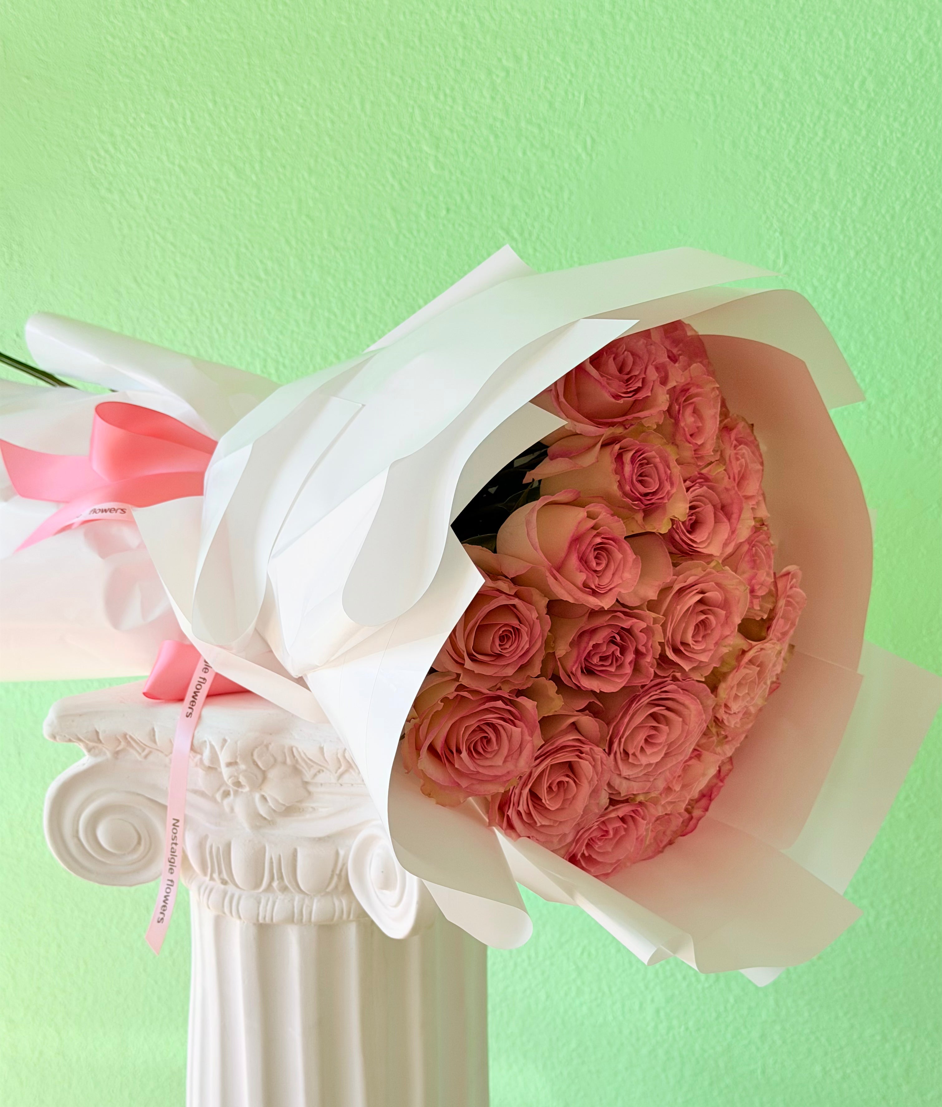 Pink Rose Grace