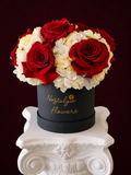 Midnight Romance Box