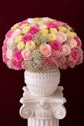 Pastel Cloud Garden
