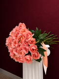 Coral Blush Roses